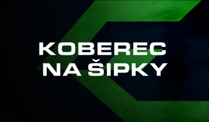Koberec na šipky: praktický průvodce výběrem