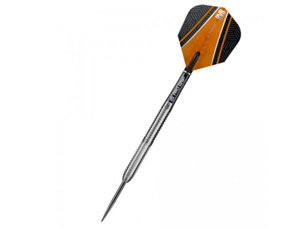 Target - darts Šipky Steel Raymond van Barneveld - 24g - výprodej