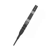 Target - darts Šipky Raymond van Barneveld - 95% Echo - 20g