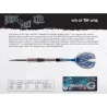 Shot Šipky Steel Birds of Prey - Kite - 23g