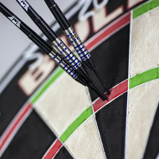 Bull's NL Šipky Steel Richard Veenstra - 22g