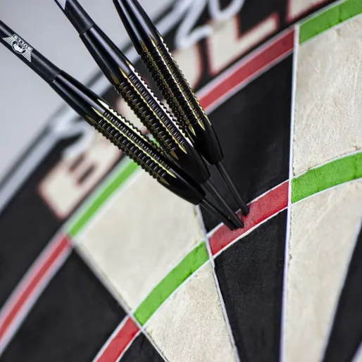 Bull's NL Šipky Steel Max Hopp - Maximiser - Coated Brass - 21g