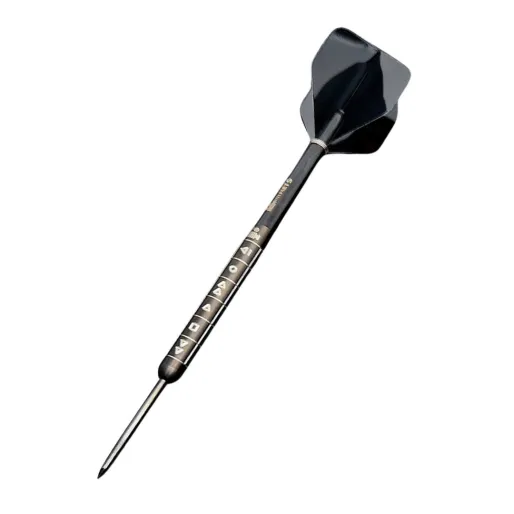 Reel Darts Šipky Steel Rewind - 22g