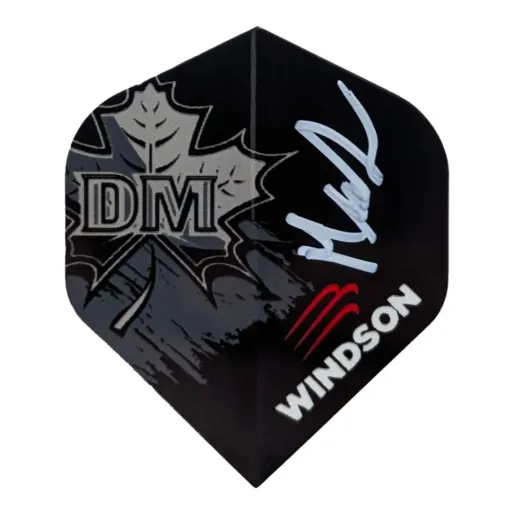 Windson Šipky Steel Dominik Moravčík - 23g