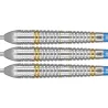Target - darts Šipky Steel Phil Taylor - Brass - 22g