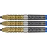 Target - darts Šipky Steel Raymond van Barneveld - G6 - Swiss Point - 21g