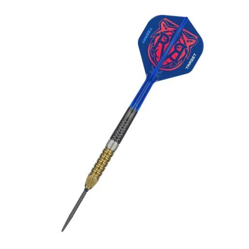 Target - darts Šipky Steel Raymond van Barneveld - G6 - Swiss Point - 21g
