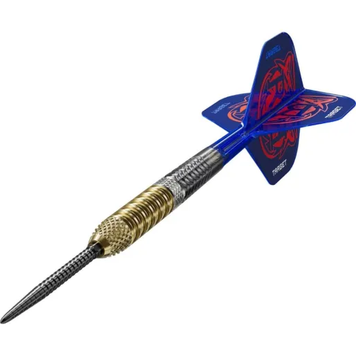 Target - darts Šipky Steel Raymond van Barneveld - G6 - Swiss Point - 21g