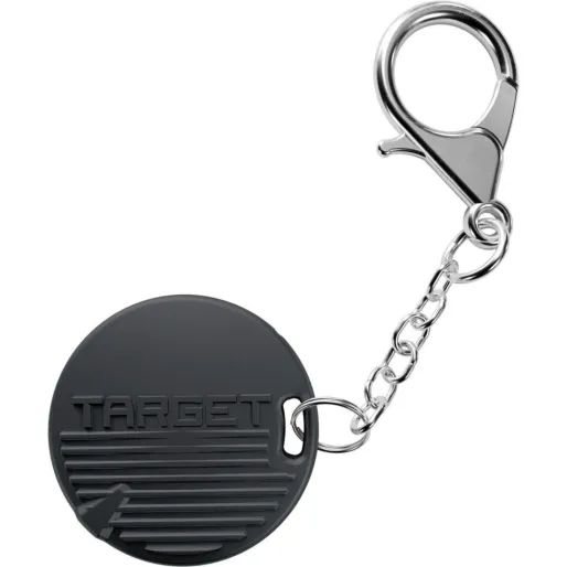 Target - darts Šipky Steel Raymond van Barneveld - G6 - Swiss Point - 21g