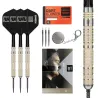 Target - darts Šipky Steel Dimitri van den Bergh - 95K - Swiss Point - 23g