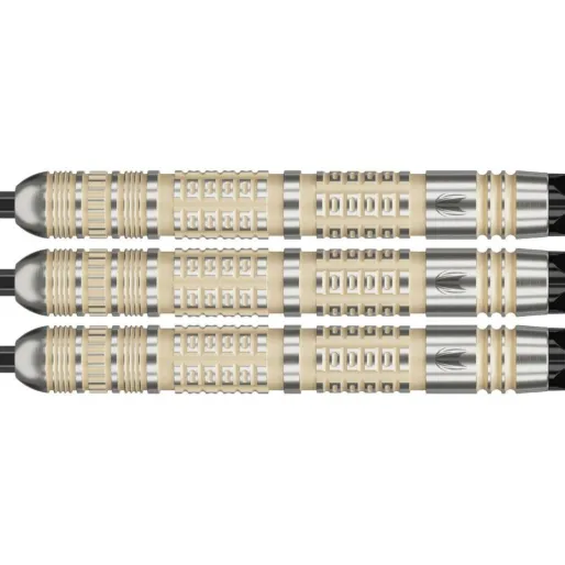 Target - darts Šipky Steel Dimitri van den Bergh - 95K - Swiss Point - 23g