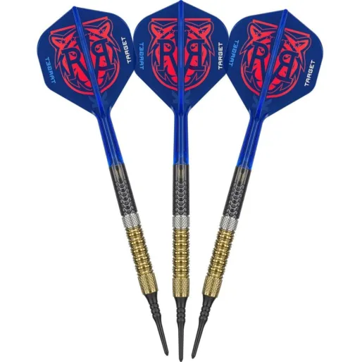 Target - darts Šipky Raymond van Barneveld - G6 - 18g