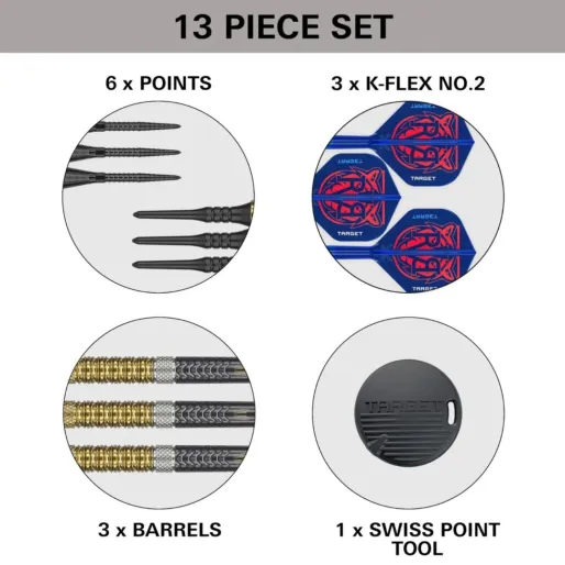 Target - darts Šipky Raymond van Barneveld - G6 - 18g