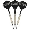 Target - darts Šipky Dimitri van den Bergh - 95K - 18g