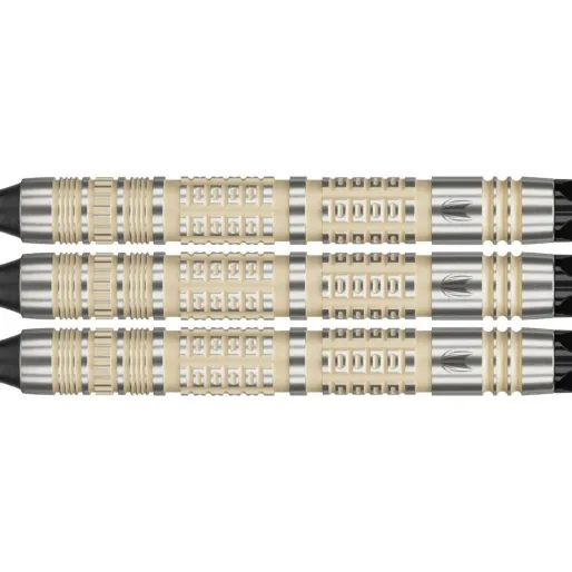 Target - darts Šipky Dimitri van den Bergh - 95K - 18g