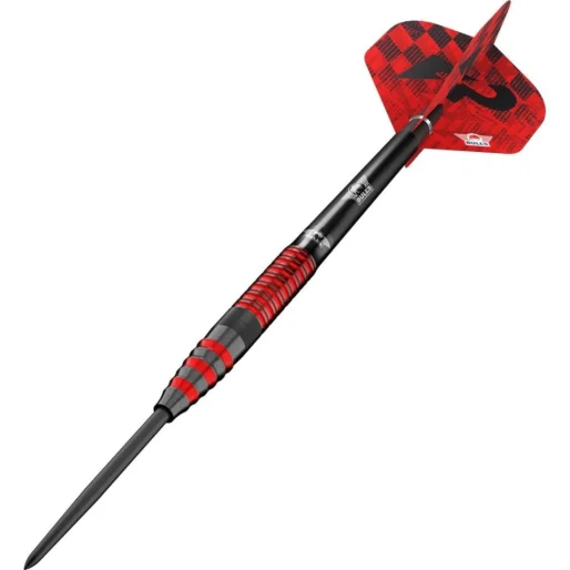 Bull's NL Šipky Steel Florian Preis - 23g