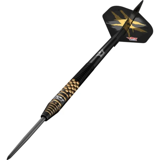 Bull's NL Šipky Steel Richard Veenstra E2 - 25g